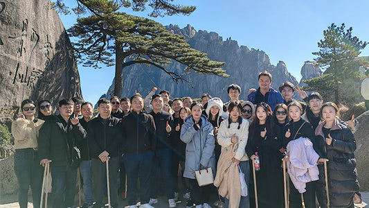 The power of team: build dreams  together and share glory